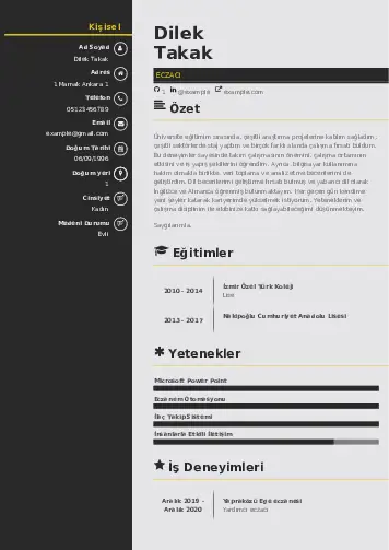 Eczacı CV Örnekleri cv indir